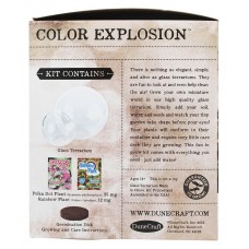 Double Bubble Glass Terrarium: Color Explosion   554812453